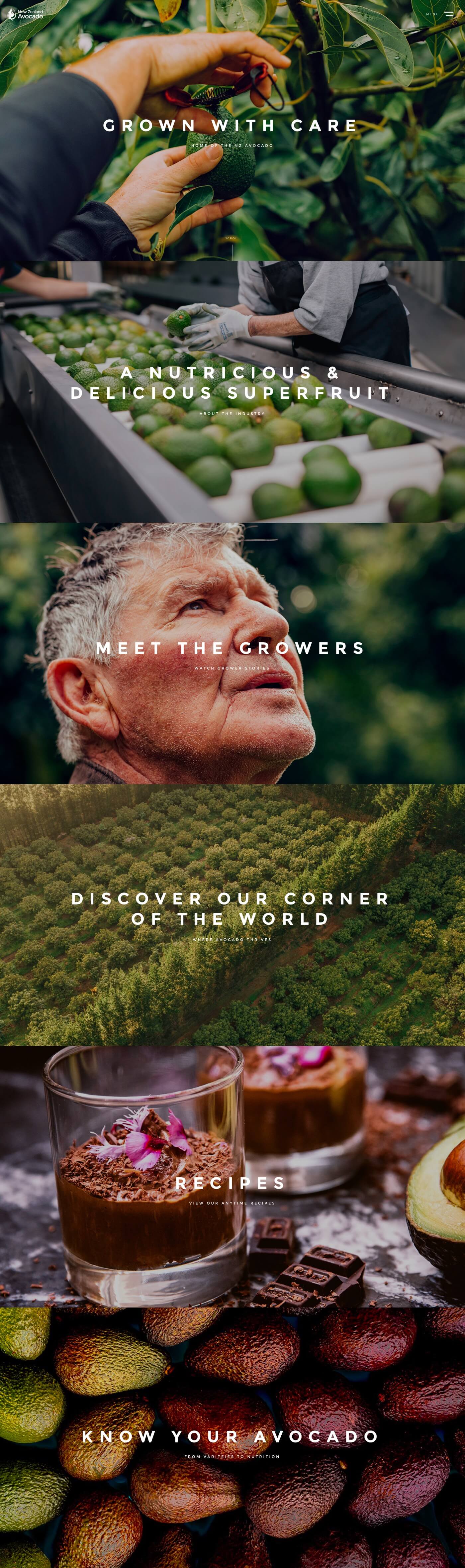 NZ Avocado Homepage